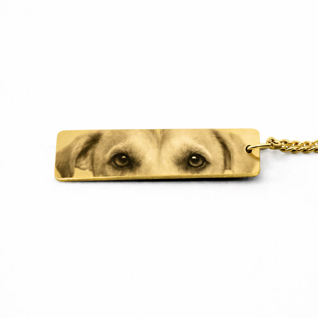 Eternal Pet Eyes Key Chain - Image 6