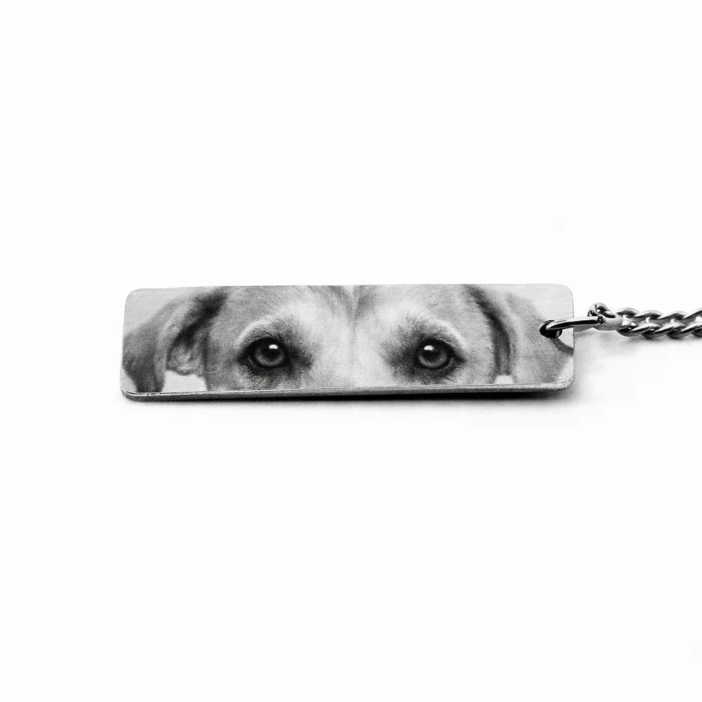Eternal Pet Eyes Key Chain - Image 7